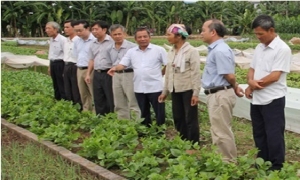 Chủ tịch UBND tỉnh Doãn Thế Cường thăm mô hình sản xuất thực phẩm an toàn