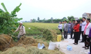 Hội Nông dân tỉnh Hưng Yên: Đa dạng hóa trong công tác bảo vệ môi trường