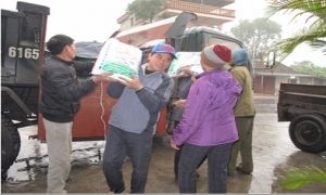 Nhìn lại 10 năm hoạt động của trung tâm dạy nghề và hỗ trợ nông dân hội nông dân tỉnh Hưng Yên