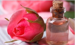 8 lợi ích đối với sức khỏe ít biết từ hoa hồng