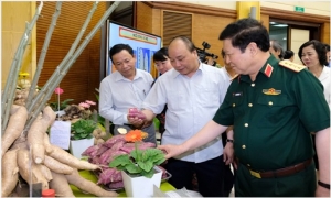 Thủ tướng: Phát huy ưu thế các lực lượng phục vụ ‘3 hiện đại hóa’ nông nghiệp