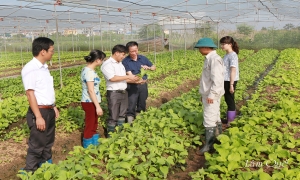 Công tác xây dựng và quản lý hiệu quả quỹ hỗ trợ nông dân ở thành phố Hưng Yên