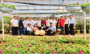 Hội giúp sức nông dân trồng hoa ở Xuân Quan thành tỷ phú