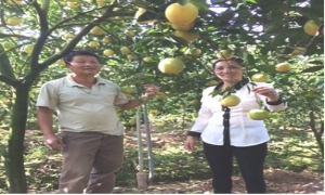 Công tác phối hợp giữa Hội Nông dân huyện và Ngân hàng NN&PTNT huyện Kim Động về “Chính sách tín dụng phát triển nông nghiệp nông thôn”