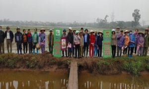 Hưng Yên: Tập huấn về kỹ thuật bón phân cho lúa theo phương pháp canh tác lúa cải tiến - SRI cho cán bộ, hội viên nông dân 